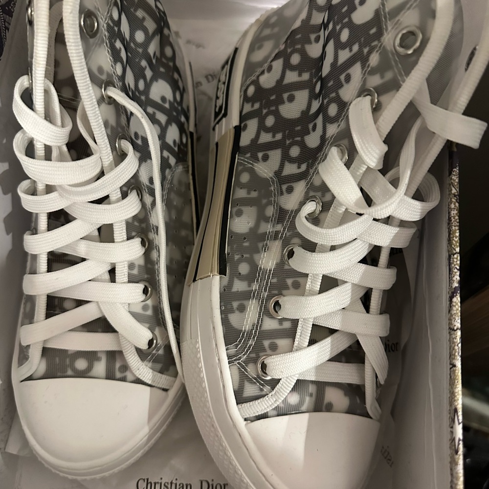 Dior oblique canvas